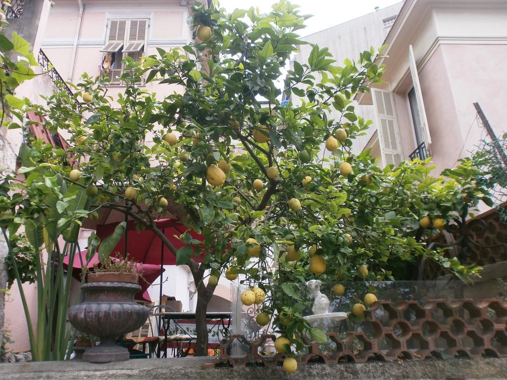 Villa Saphir Nice Ngoại thất bức ảnh